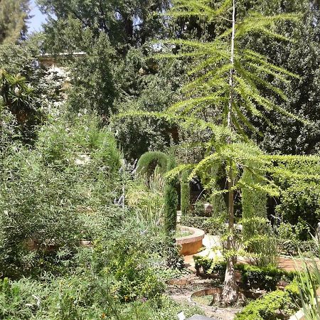 Apartamento Catedral Centro Granada Eksteriør billede